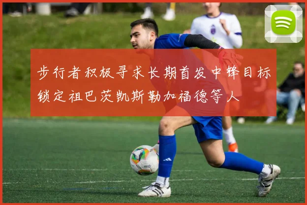 步行者积极寻求长期首发中锋目标锁定祖巴茨凯斯勒加福德等人